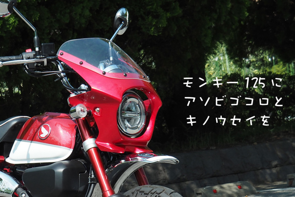 モンキー125用ビキニカウル DS-07 - バイクパーツメーカー ワールド 